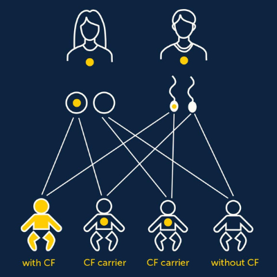 Cascade Screening And Family Genetic Testing For Cystic Fibrosis